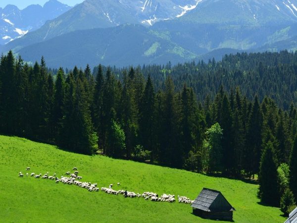 20.-24.06.2025. / Polijas Tatru taciņas (pārgājieni kalnos)