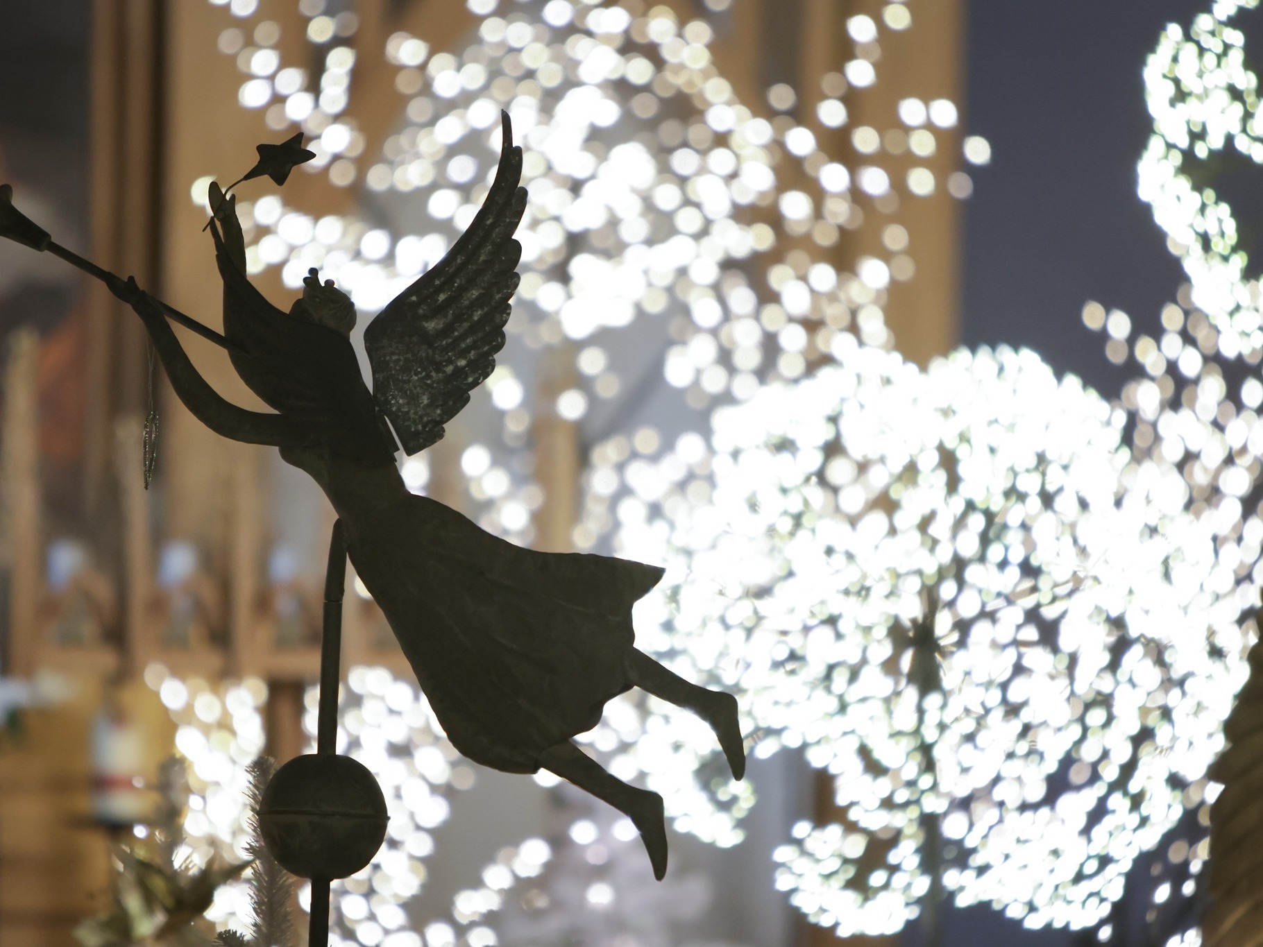 481058164_944903354484720_4589581686325587863_n