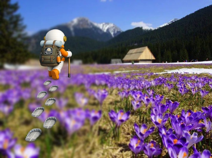 Krokusi